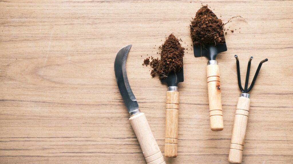 Gardening for Beginners: A Complete Guide to Starting Your Own Garden